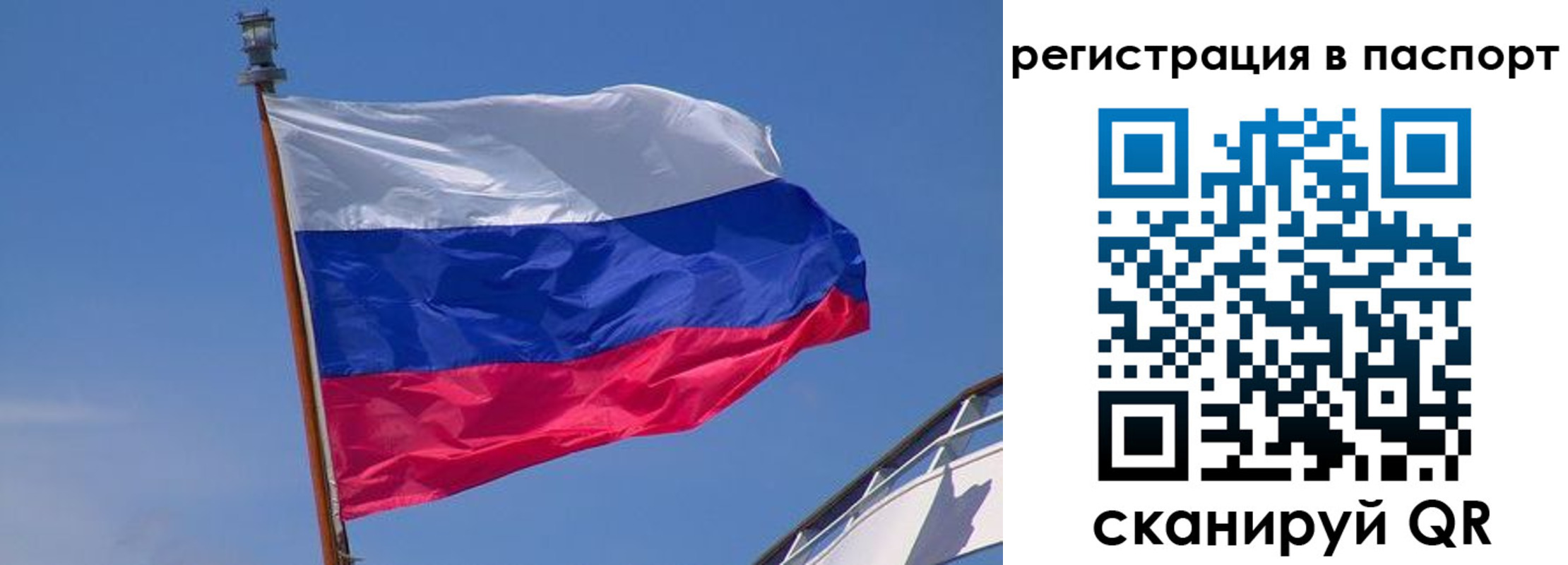 прописка законно в Черняховске